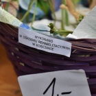 zdjęcie nr 25
