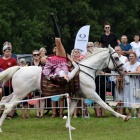 zdjęcie nr 81