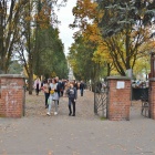 zdjęcie nr 8