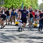 zdjęcie nr 26