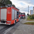 zdjęcie nr 5