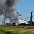 zdjęcie nr 8