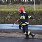 zdjęcie nr 36