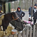 zdjęcie nr 19