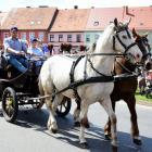 zdjęcie nr 30