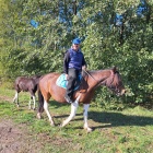 zdjęcie nr 16
