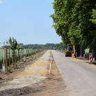 zdjęcie nr 10