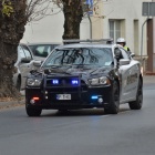 zdjęcie nr 43