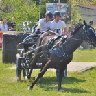 zdjęcie nr 28