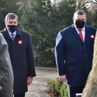 zdjęcie nr 12