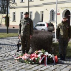 zdjęcie nr 14