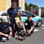 Uratowany pies adoptowany przez policjanta (2)
