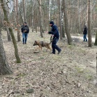 zdjęcie nr 8