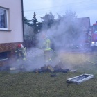 zdjęcie nr 9