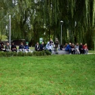 zdjęcie nr 44
