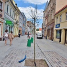 zdjęcie nr 15