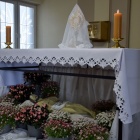zdjęcie nr 11