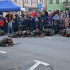 zdjęcie nr 25