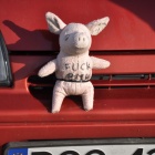 zdjęcie nr 44