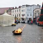 zdjęcie nr 11