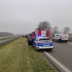 Samochód dachował przez kota (1)