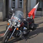 zdjęcie nr 50