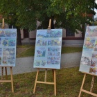 zdjęcie nr 14