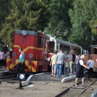 zdjęcie nr 8