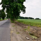 zdjęcie nr 16