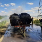 zdjęcie nr 14
