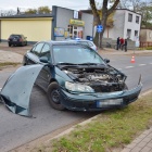 zdjęcie nr 14