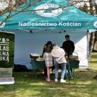 zdjęcie nr 5