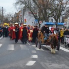zdjęcie nr 46