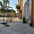 zdjęcie nr 12