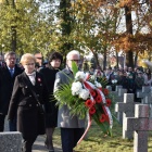 zdjęcie nr 31