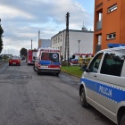 zdjęcie nr 8