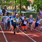 zdjęcie nr 22