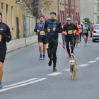 zdjęcie nr 28