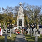 zdjęcie nr 49