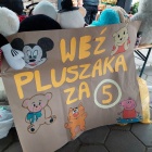 zdjęcie nr 16