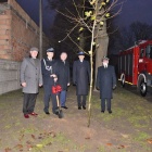 zdjęcie nr 73