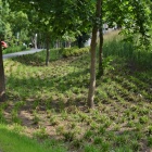 zdjęcie nr 8