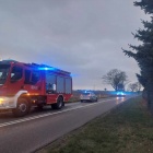 zdjęcie nr 9