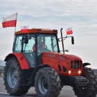 zdjęcie nr 26