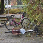 zdjęcie nr 8