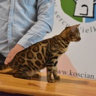 zdjęcie nr 8