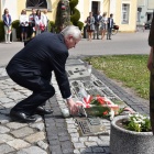 zdjęcie nr 31