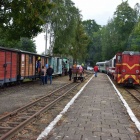 zdjęcie nr 15