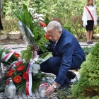 zdjęcie nr 12