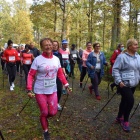 zdjęcie nr 29